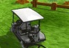 Golf Cart Parking Challenge
