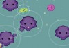 Prokaryote Beta