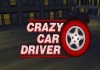 Crazy Car Driver