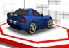 Wild Race