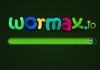 Wormax.io