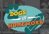 Dogs vs Homework