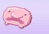 Shifty Blobfish