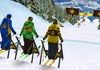 Xtreme Skicross