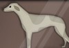 Greyhound racing tycoon