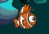 Swim Mr Fish