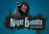 Night Bandits TD