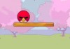 Angry Birds Lover