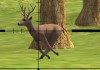 Deer Sniper 2014 