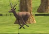 Deer Sniper 2014