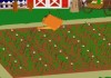 Vegetable farm 2