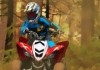 Forest Atv Challenge