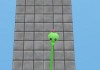 Tower Creeper