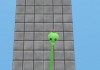 Tower Creeper 