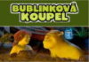 Bublinková koupel